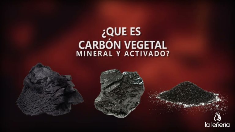 Batalla de Carbono: Mineral vs Vegetal ¿Cuál es más ecológico?
