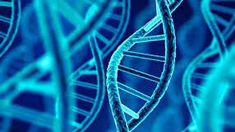 Descubre la sorprendente diferencia entre gen y genotipo: ¡La clave para entender tu herencia!