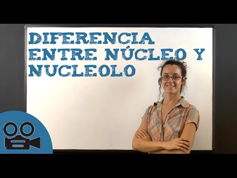 Descubre las sorprendentes diferencias entre núcleo y nucleolo