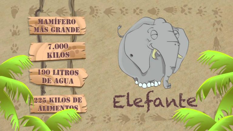 Descubre las sorprendentes características físicas del elefante en su hábitat natural