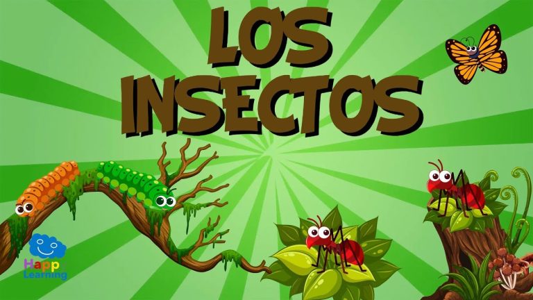 Descubre la fascinante vida de los insectos: una guía didáctica para niños