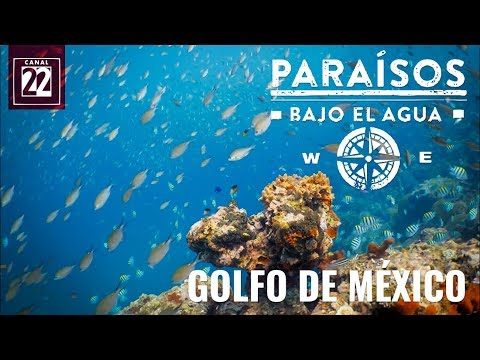 Descubre el fascinante tesoro del Golfo de Agua: un paraíso acuático por explorar