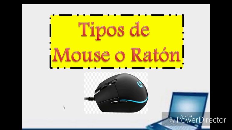 Descubre los distintos tipos de mouse y elige el perfecto para ti